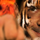 Illustration for article titled FINAL UPDATE: We asked for Charlie Sheen warlock pictures, and you delivered